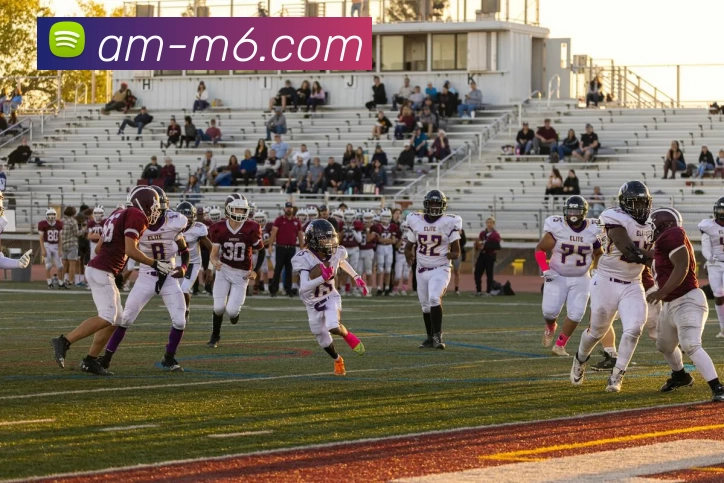 多媒体互动体验